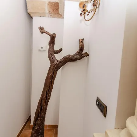 Dimora Nardelli Bed & Breakfast Sava